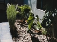 De betontegel maakt plaats voor split en grind