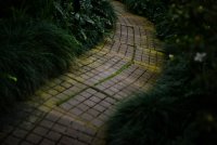 Het rechte tuinpad maakt plaats voor de bocht