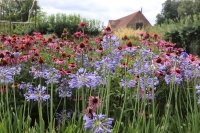 Schapenwol verdringt boomschors in de Nederlandse tuin