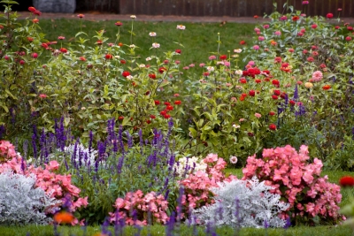 De moestuin verdwijnt en duikt op tussen je sierplanten