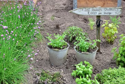 Je tuin wordt eetbaar en dat ziet er beter uit dan je denkt