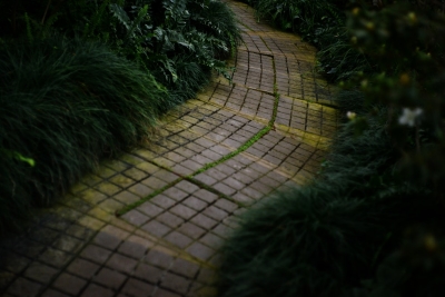 Het rechte tuinpad maakt plaats voor de bocht